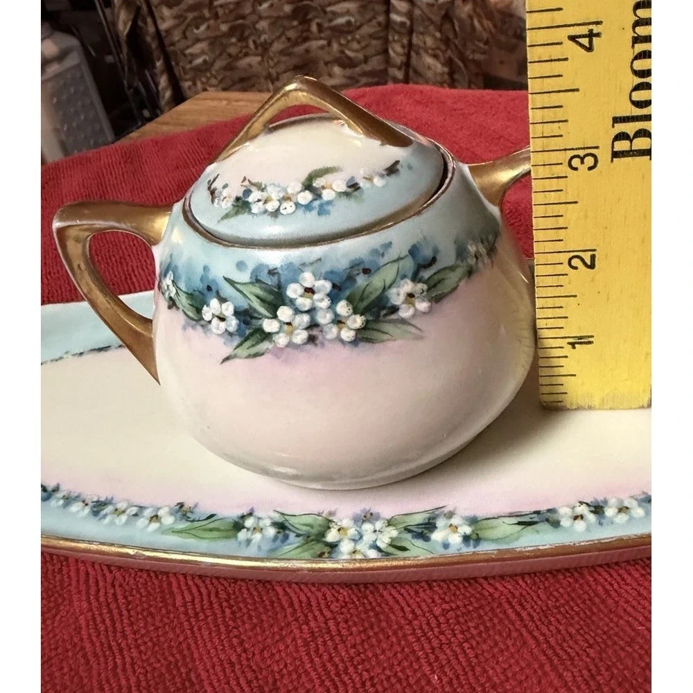 Antique O & E G Royal Austria Hand Painted Sugar Bowl with Lid & Boat Tray